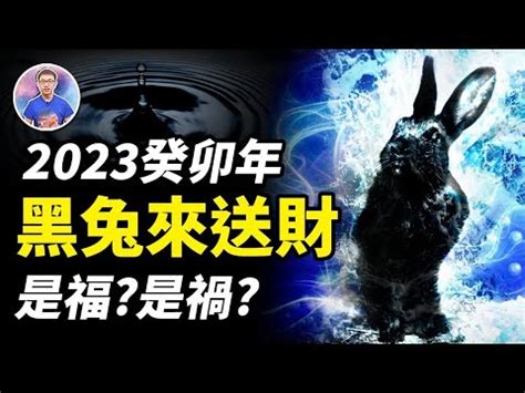 黑兔年要注意什麼|60年一次「黑兔年」來了 專家示警：要謹慎度過